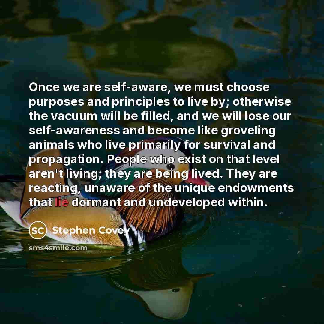 “Once we are self-aware, we must choose purposes and principles…” quote by Stephen Covey