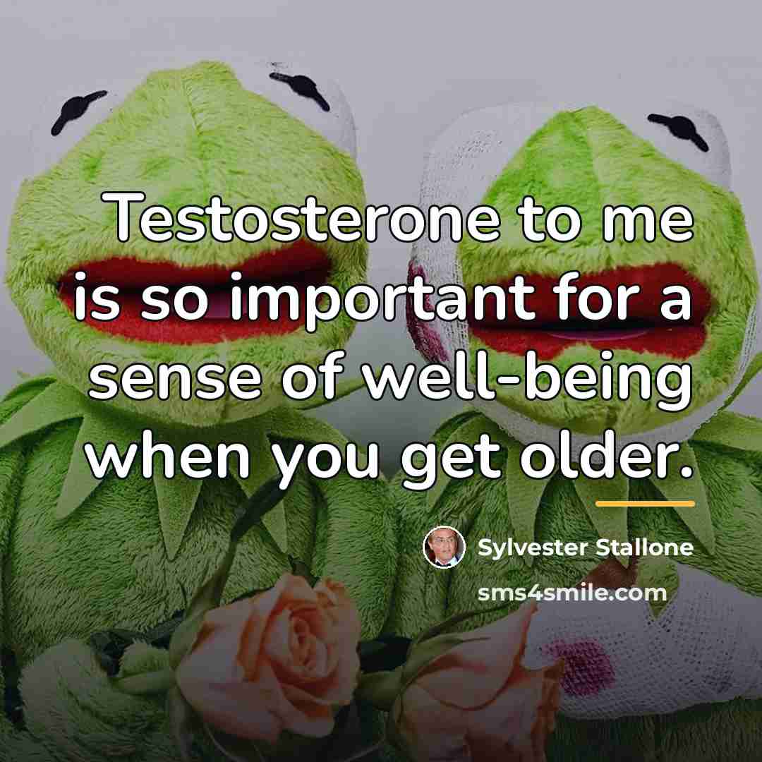 “Testosterone to me is so important for a sense of…” quote by Sylvester Stallone