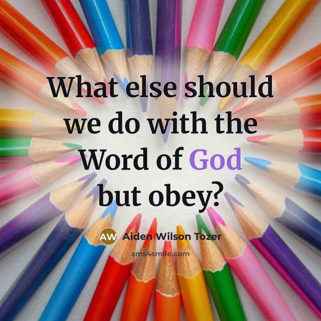 “What else should we do with the Word of God…” quote by Aiden Wilson Tozer