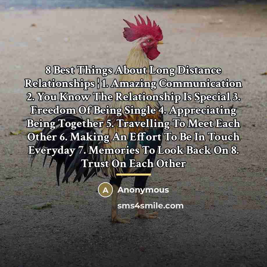 “8 Best Things About Long Distance Relationships ¦ 1. Amazing…” quote by Anonymous