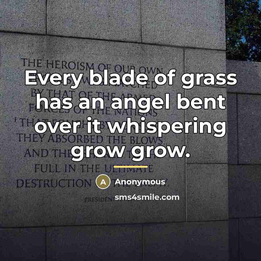 “Every blade of grass has an angel bent over it…” quote by Anonymous