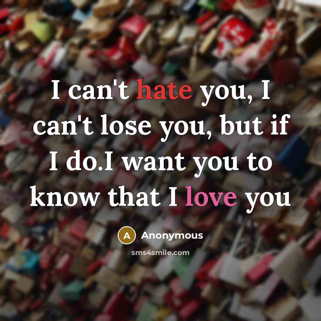 “I can't hate you, I can't lose you, but if I do.I want you to know that I love you” quote by Anonymous