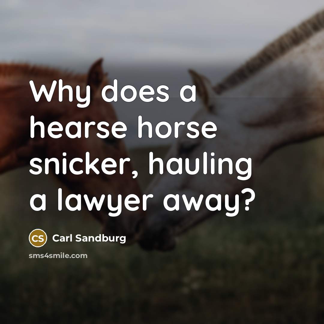 “Why does a hearse horse snicker, hauling a lawyer away?…” quote by Carl Sandburg