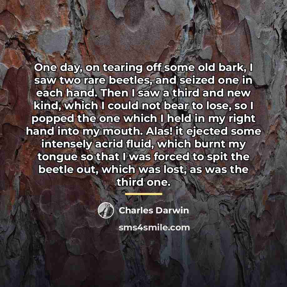 “One day, on tearing off some old bark, I saw…” quote by Charles Darwin
