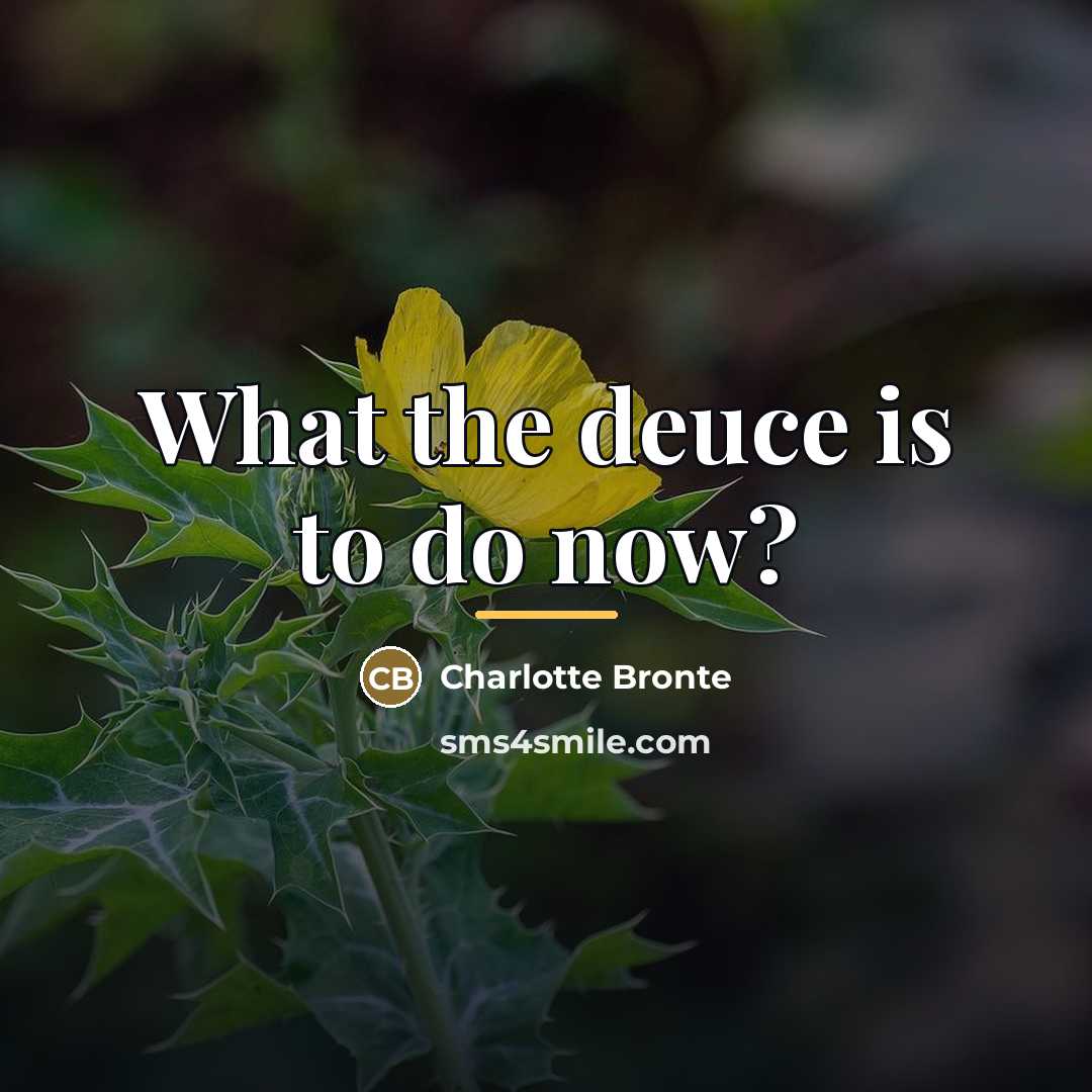 “What the deuce is to do now?…” quote by Charlotte Bronte