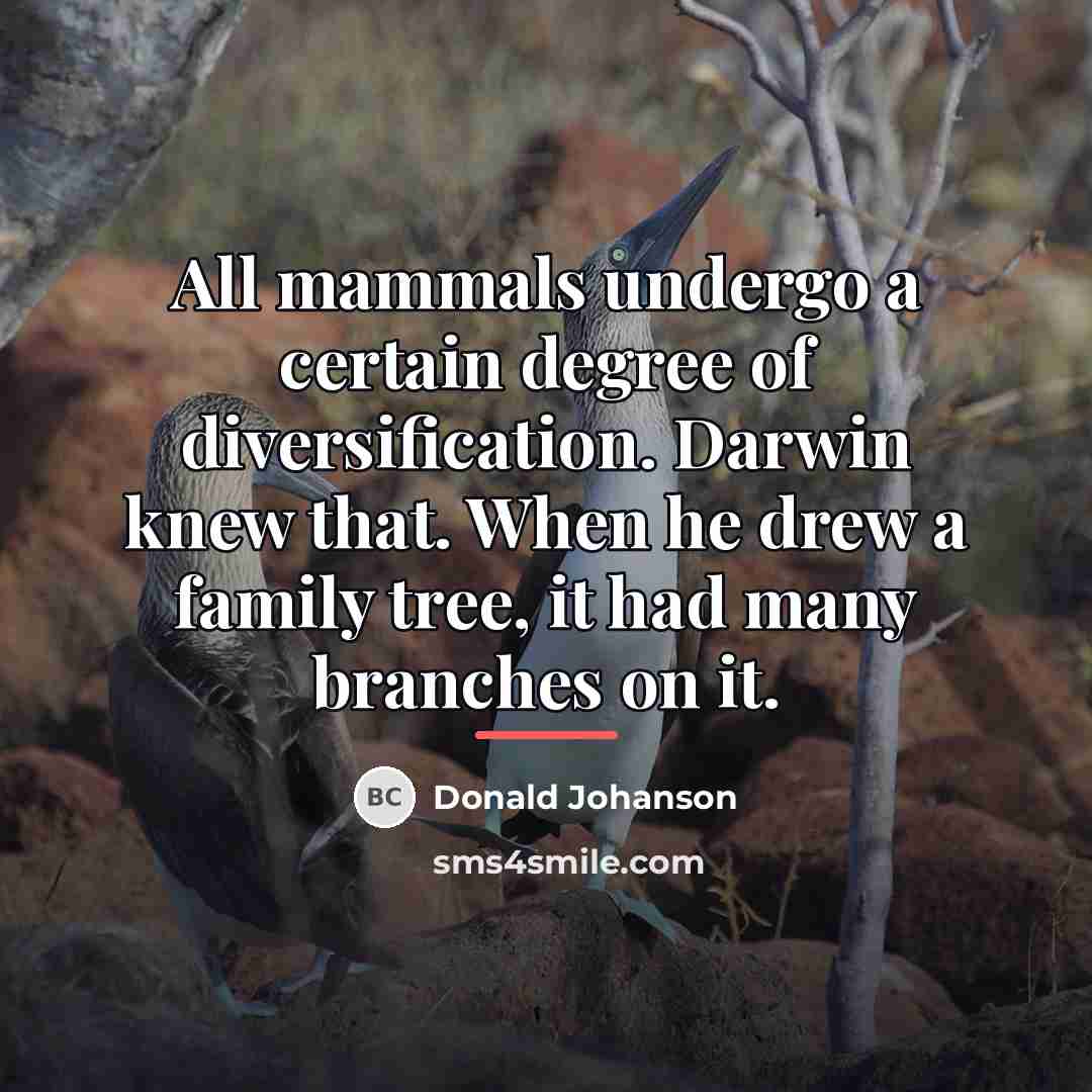 “All mammals undergo a certain degree of diversification. Darwin knew…” quote by Donald Johanson