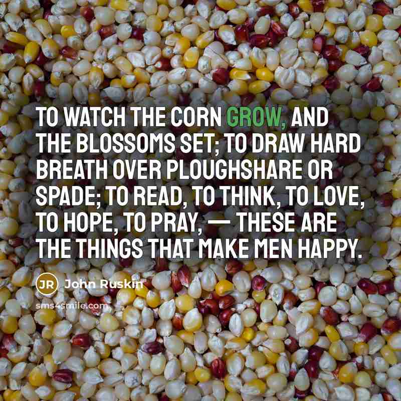 “To watch the corn grow, and the blossoms set; to…” quote by John Ruskin