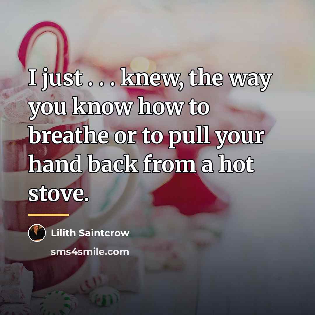 “I just . . . knew, the way you know…” quote by Lilith Saintcrow