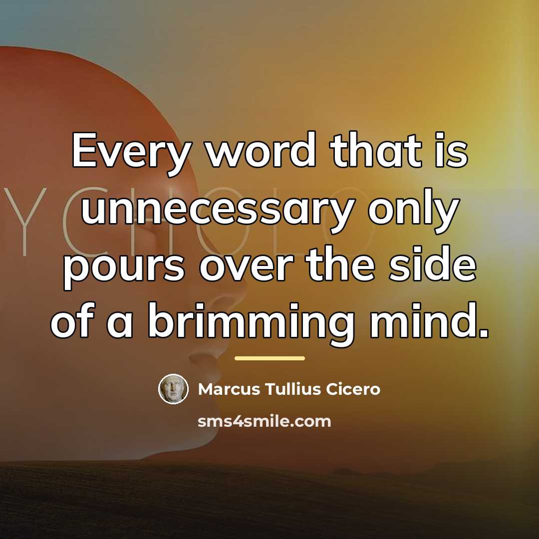 “Every word that is unnecessary only pours over the side…” quote by Marcus Tullius Cicero