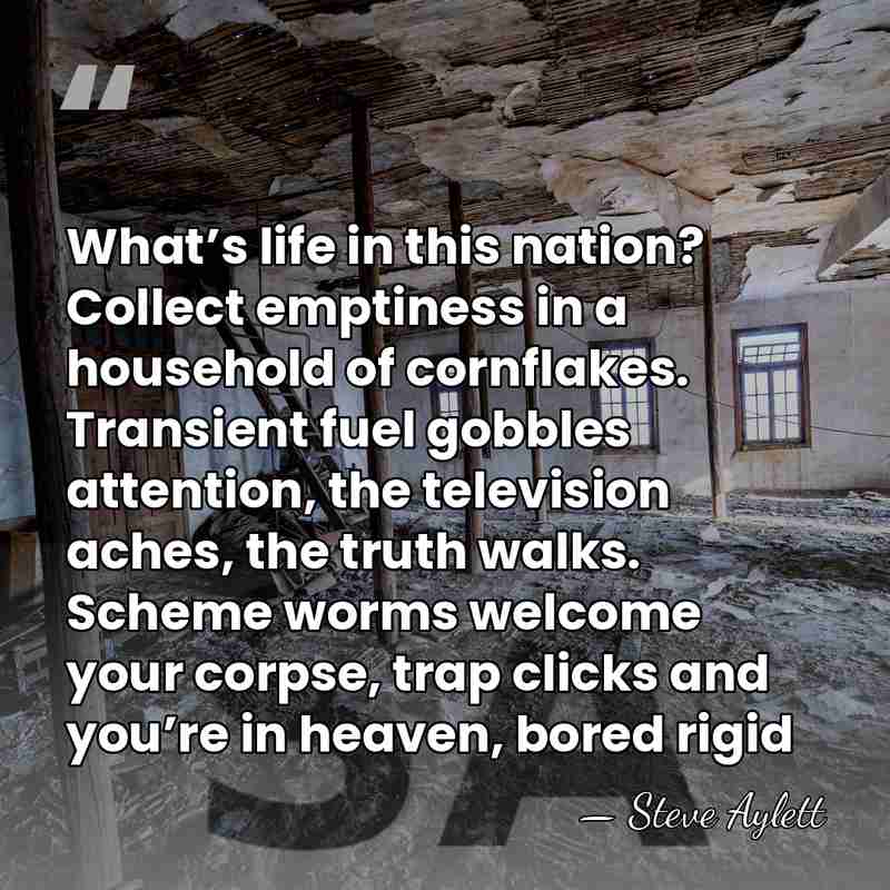 What’s life in this nation? Collect emptiness in a household of cornflakes.&hellip; - Steve Aylett