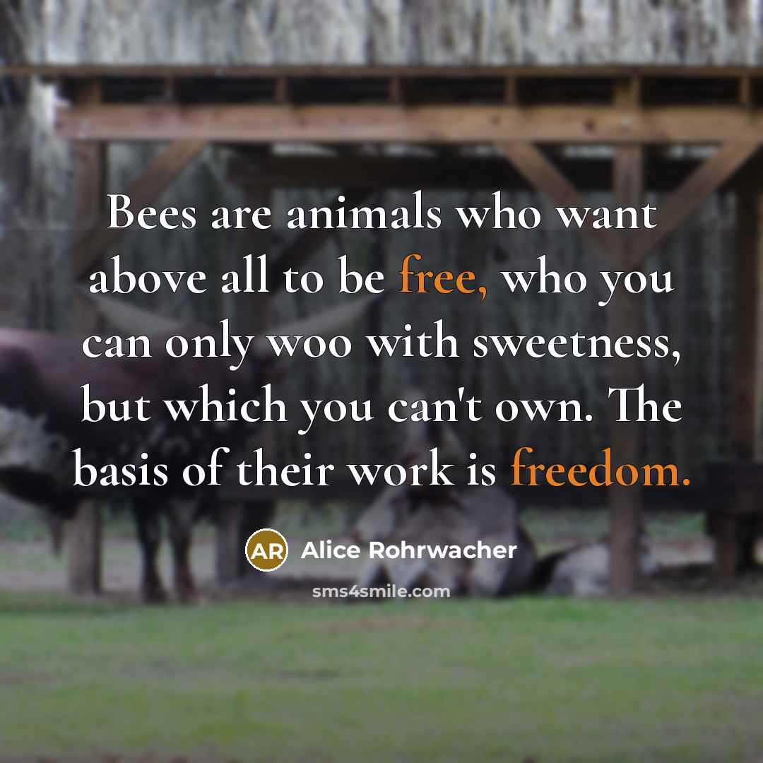 “Bees are animals who want above all to be free,…” quote by Alice Rohrwacher