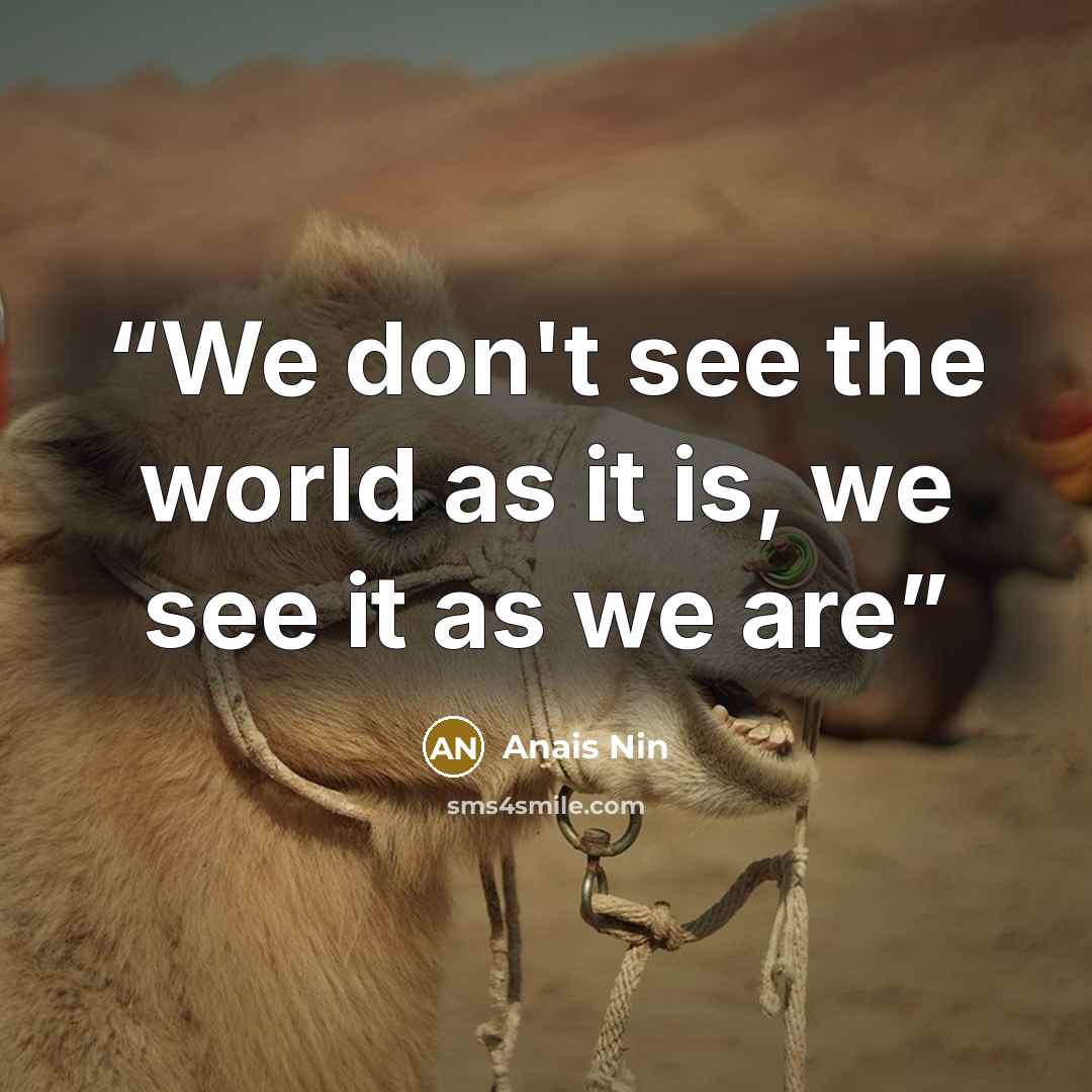 “We don't see the world as it is, we see it as we are” quote by Anaïs Nin