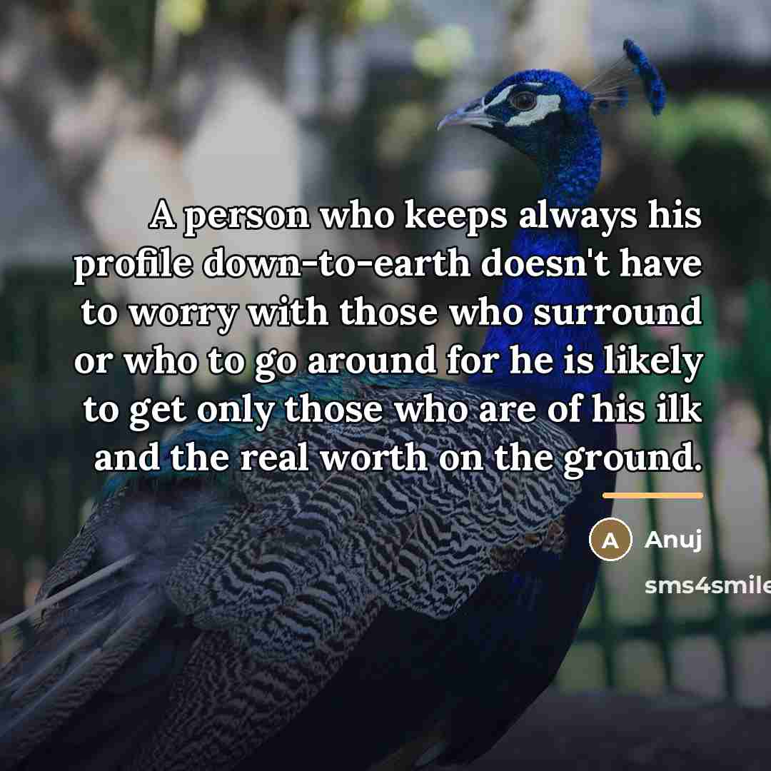 “A person who keeps always his profile down-to-earth doesn't have…” quote by Anuj