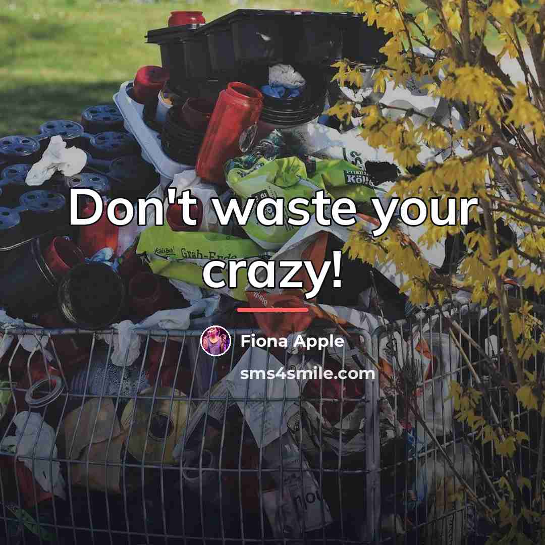 “Don't waste your crazy!…” quote by Fiona Apple