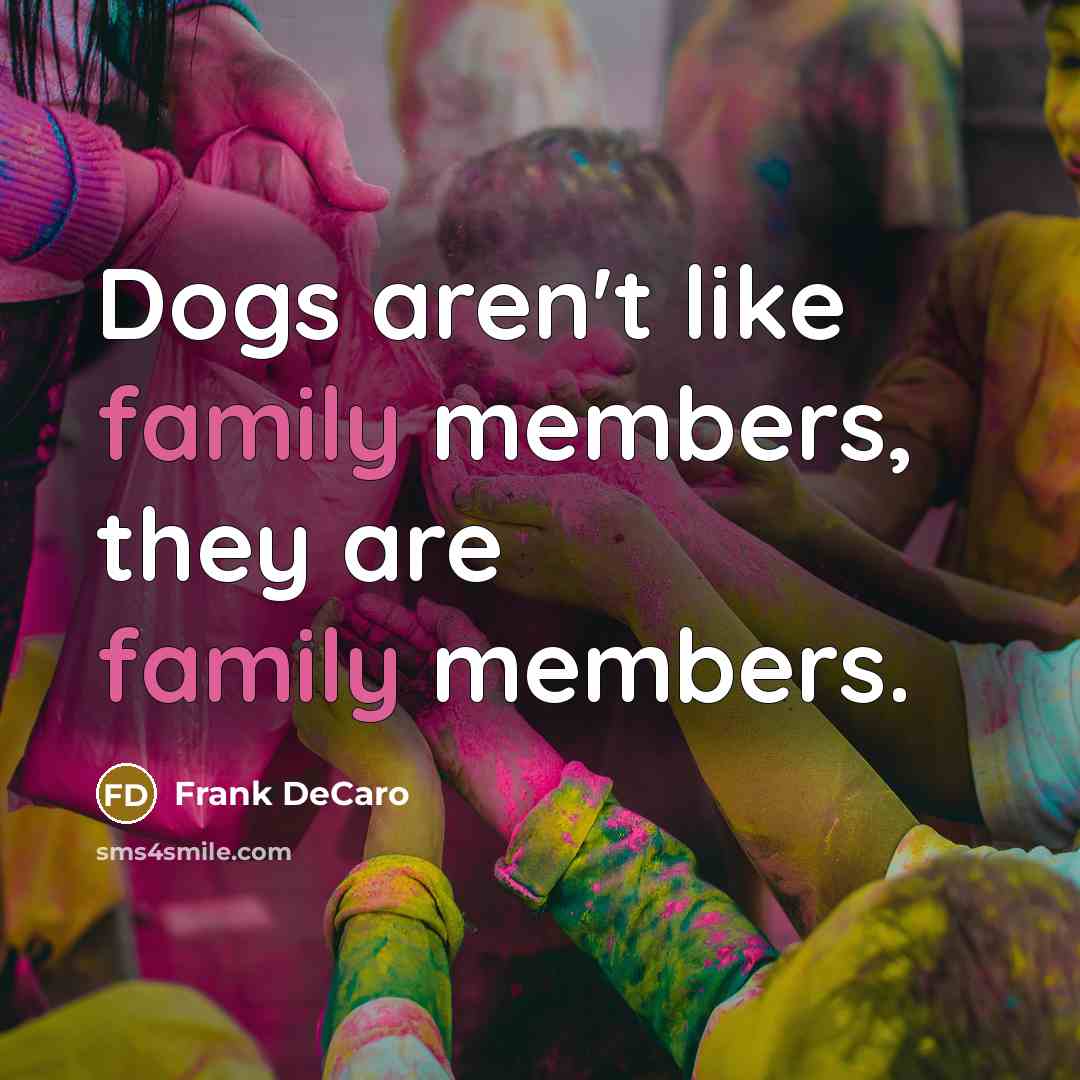 “Dogs aren't like family members, they are family members.…” quote by Frank DeCaro