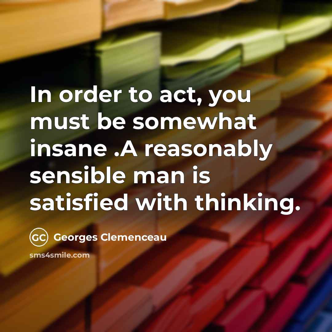 “In order to act, you must be somewhat insane .A…” quote by Georges Clemenceau