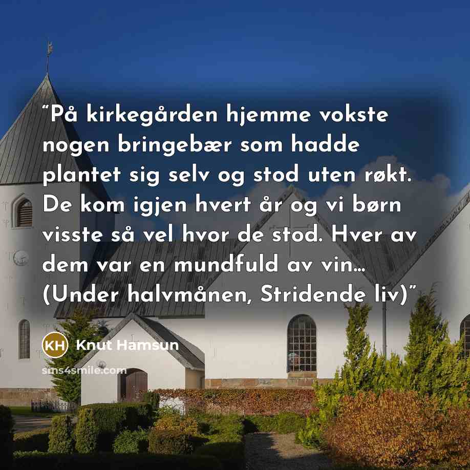 “På kirkegården hjemme vokste nogen bringebær som hadde plantet sig selv og stod uten røkt. De kom igjen hvert år og vi børn visste så vel hvor de stod. Hver av dem var en mundfuld av vin... (Under halvmånen, Stridende liv)” quote by Knut Hamsun