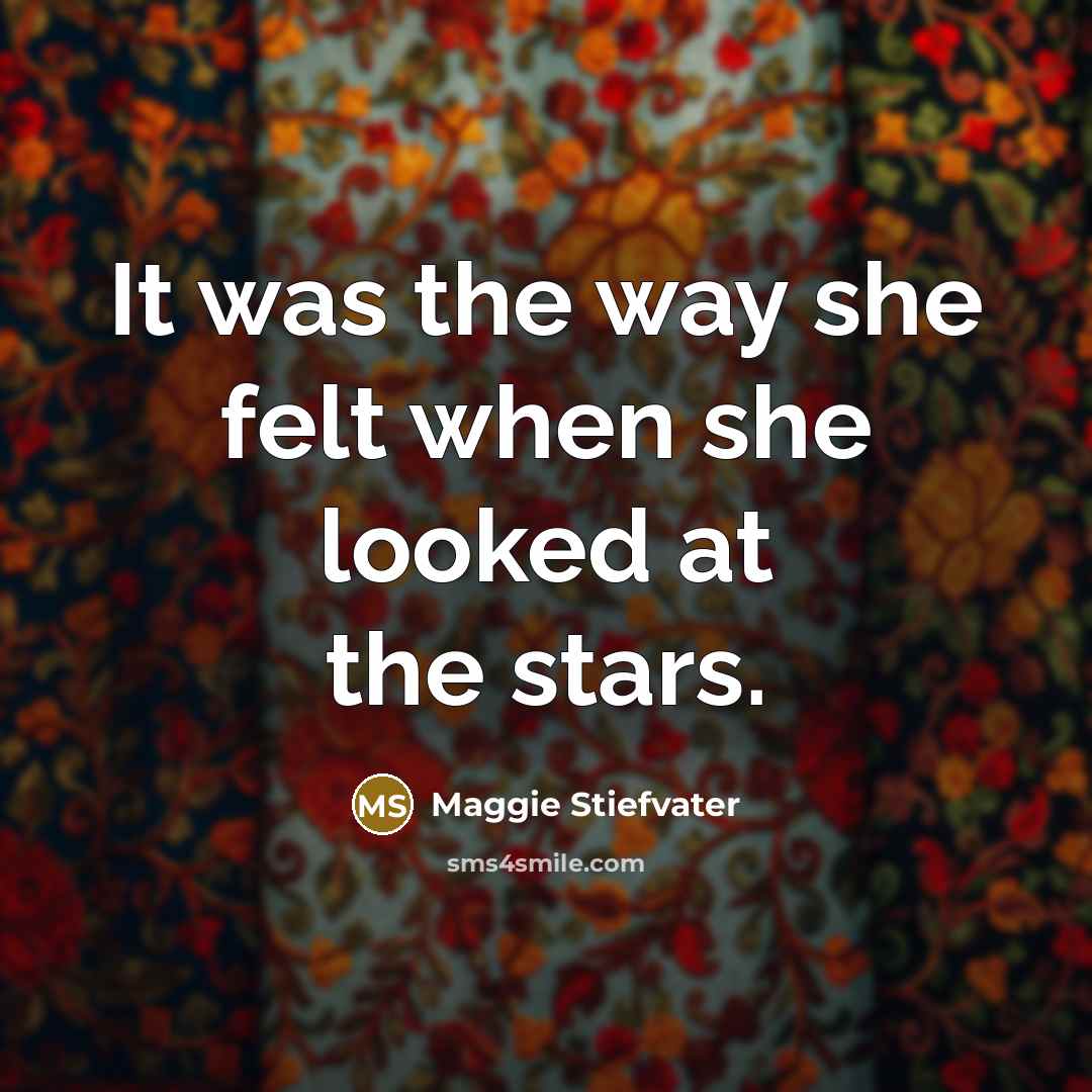 “It was the way she felt when she looked at…” quote by Maggie Stiefvater