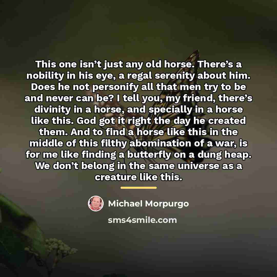 “This one isn’t just any old horse. There’s a nobility…” quote by Michael Morpurgo