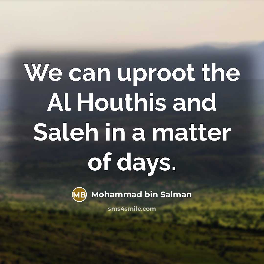 “We can uproot the Al Houthis and Saleh in a…” quote by Mohammad bin Salman