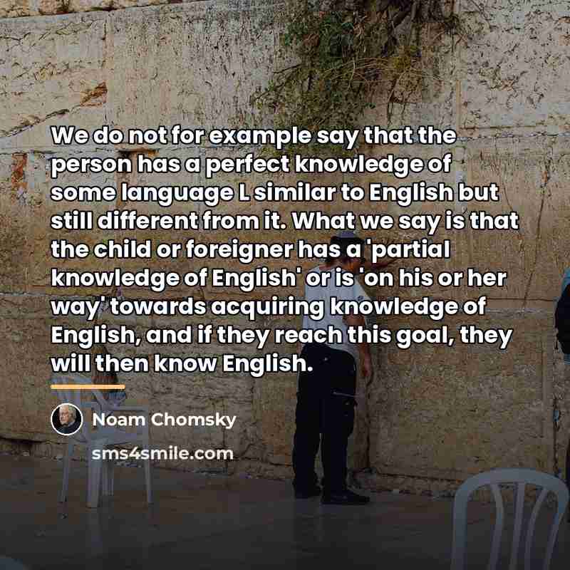 “We do not for example say that the person has…” quote by Noam Chomsky