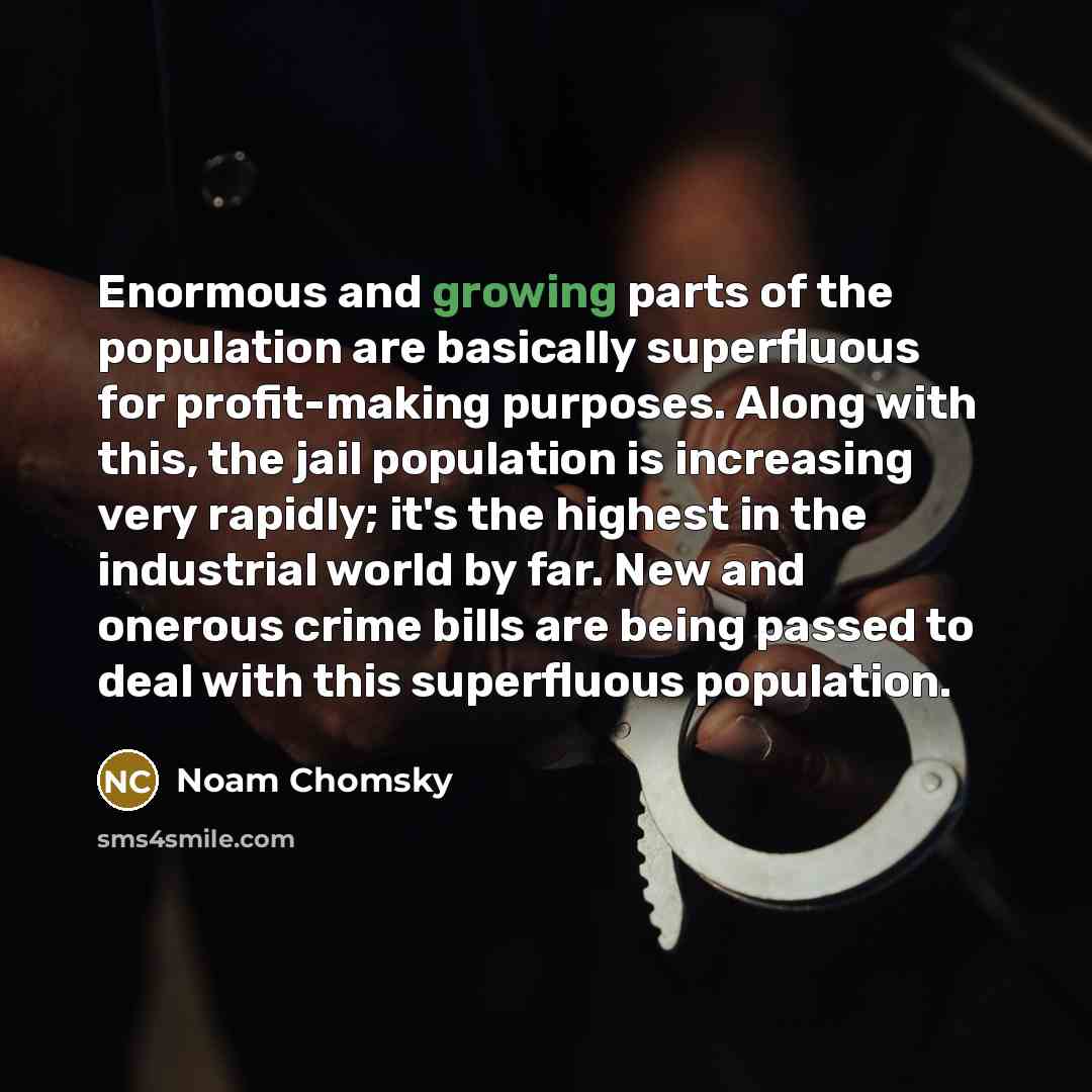 “Enormous and growing parts of the population are basically superfluous…” quote by Noam Chomsky