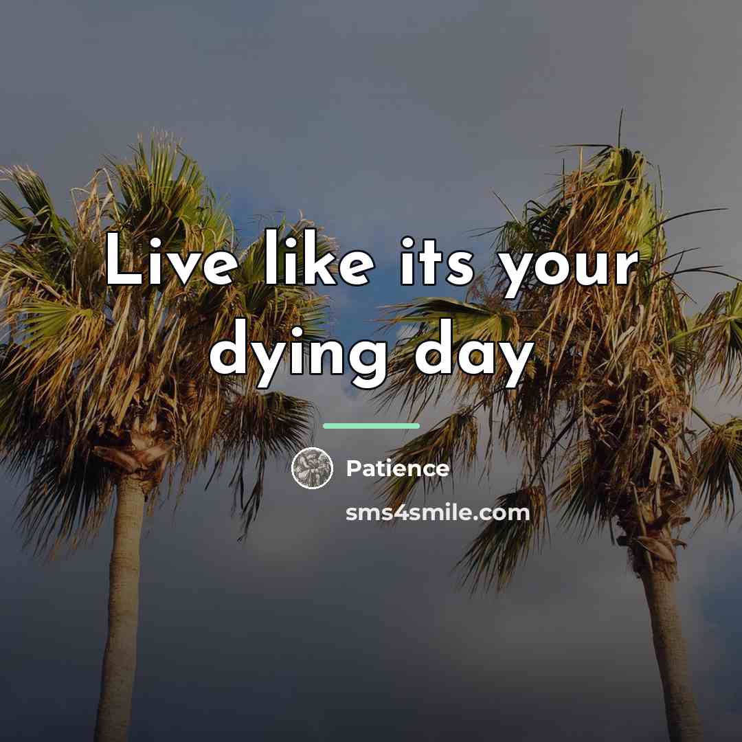 “Live like its your dying day…” quote by Patience