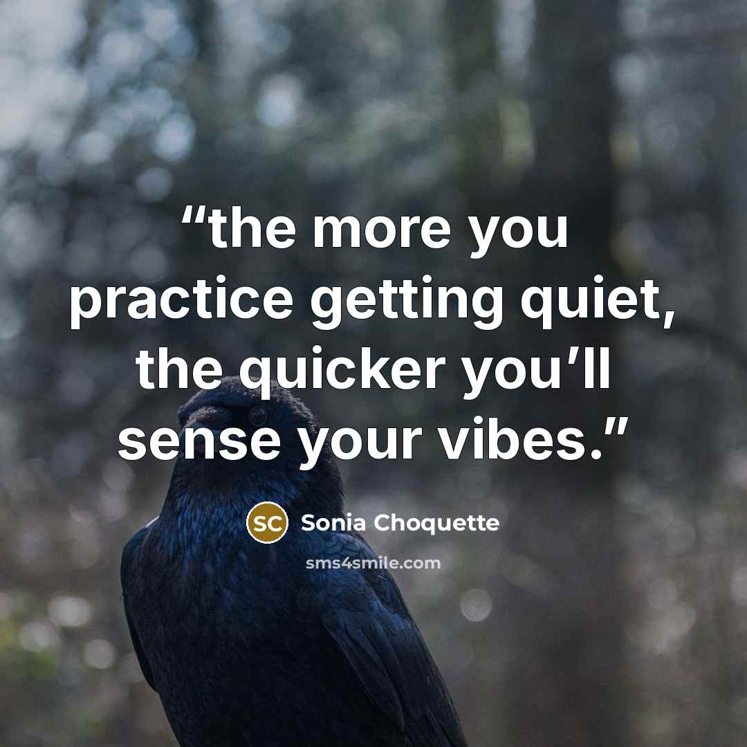 “the more you practice getting quiet, the quicker you’ll sense your vibes.” quote by Sonia Choquette