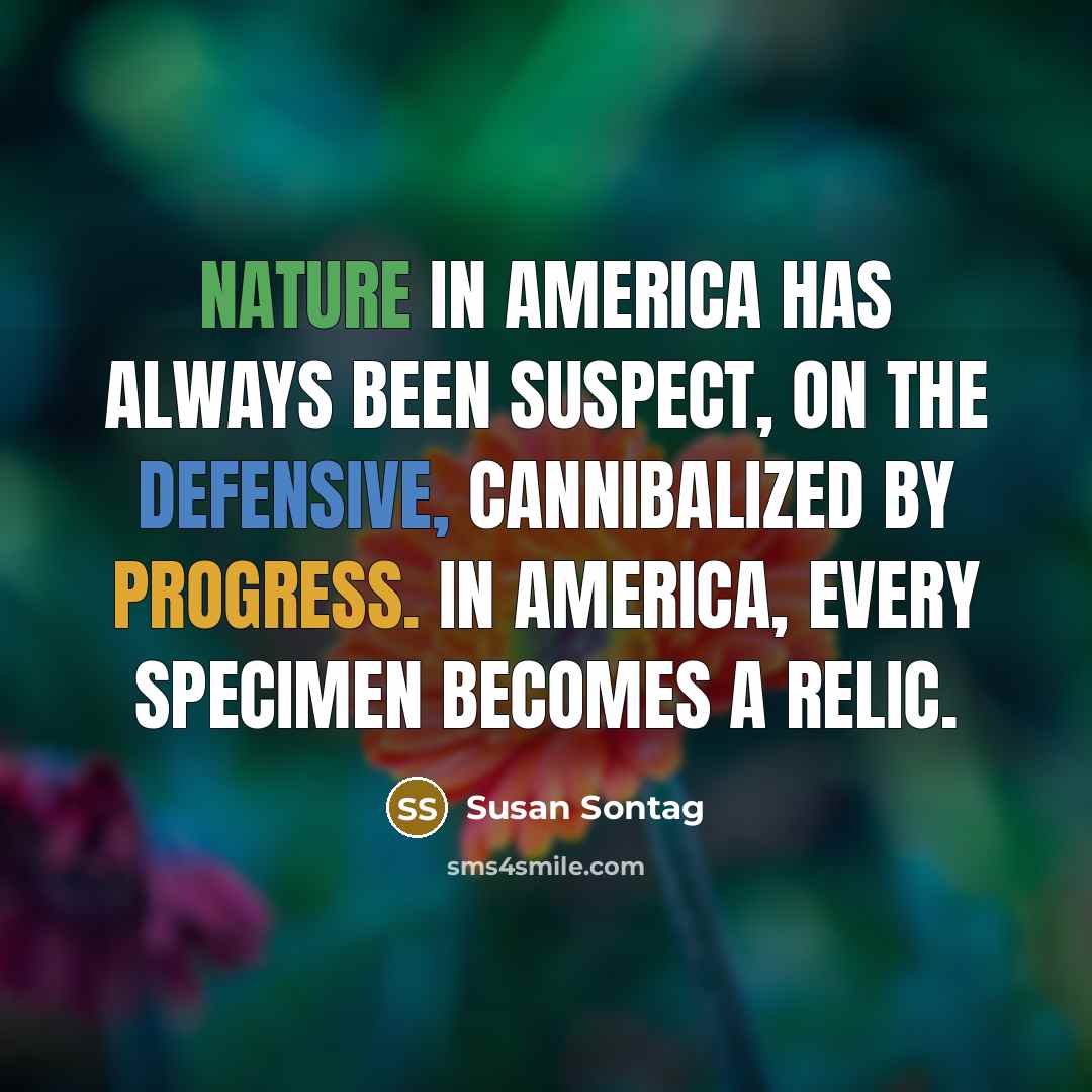 “Nature in America has always been suspect, on the defensive,…” quote by Susan Sontag