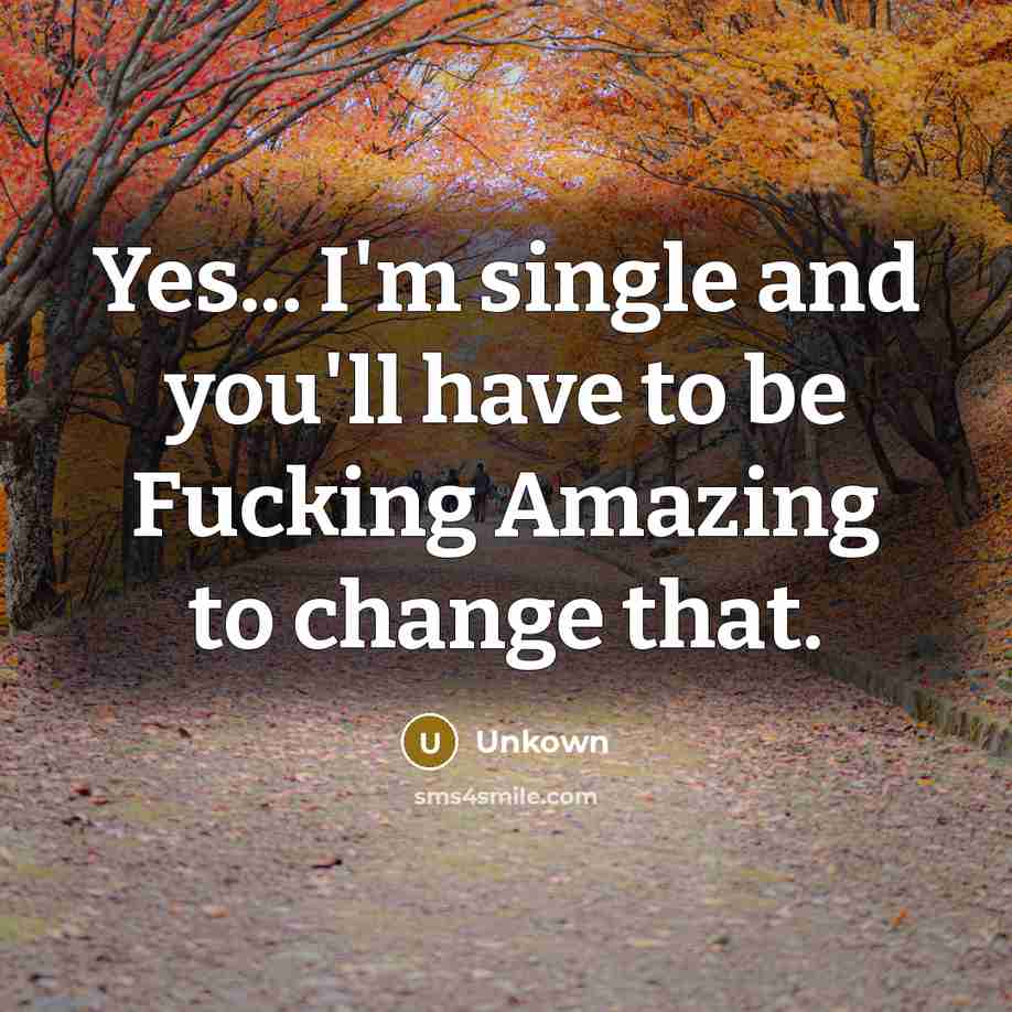 “Yes... I'm single and you'll have to be Fucking Amazing…” quote by Unkown
