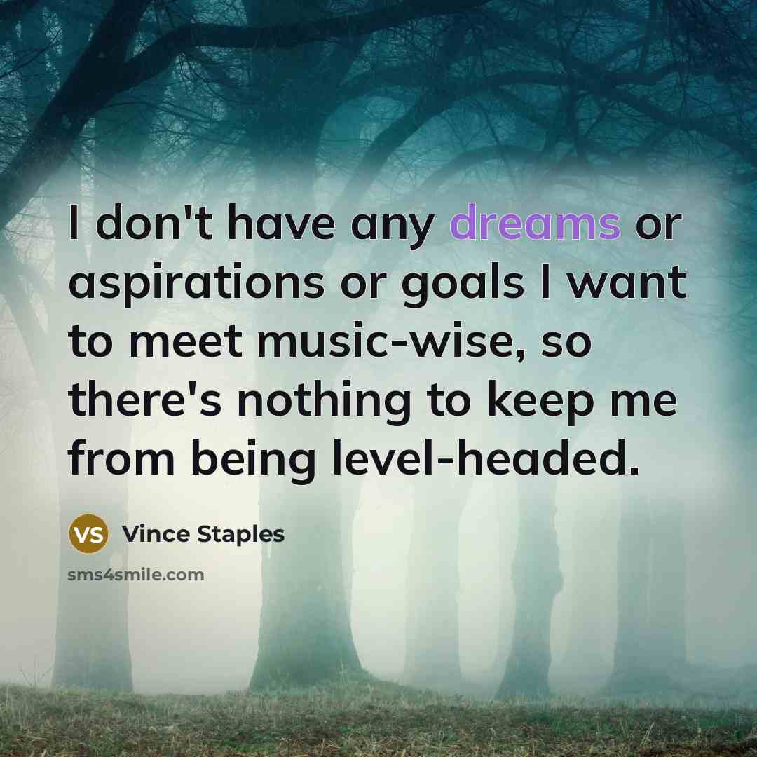 “I don't have any dreams or aspirations or goals I…” quote by Vince Staples