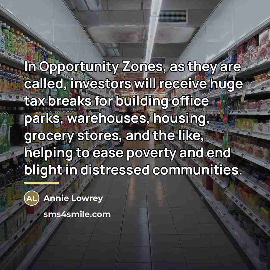 “In Opportunity Zones, as they are called, investors will receive…” quote by Annie Lowrey