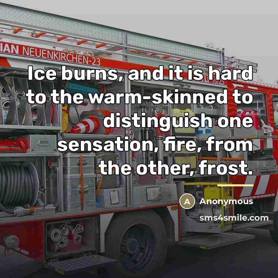 “Ice burns, and it is hard to the warm-skinned to…” quote by Anonymous