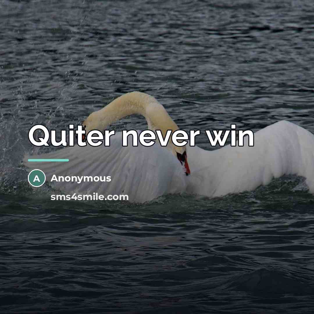 “Quiter never win…” quote by Anonymous