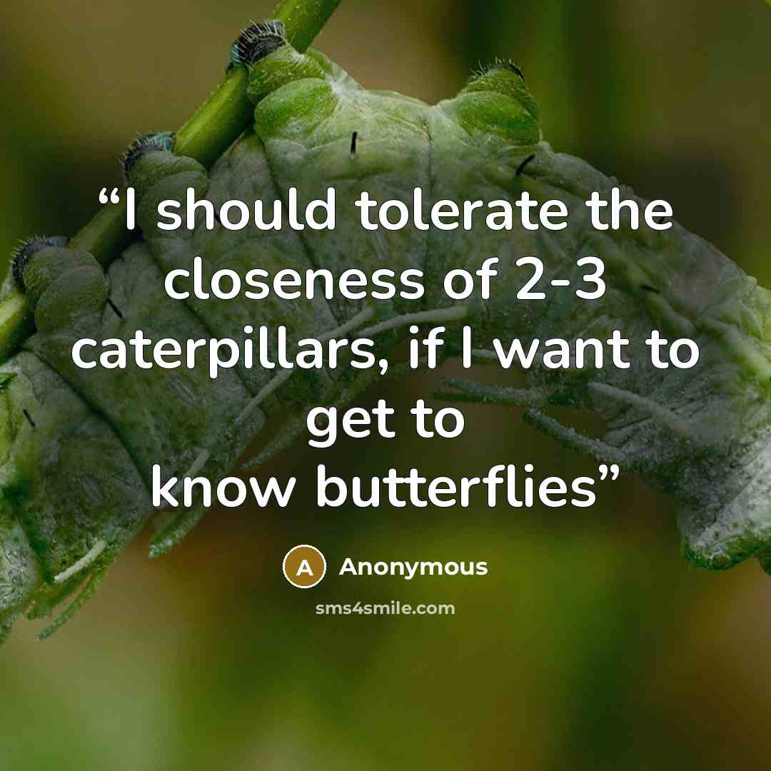 “I should tolerate the closeness of 2-3 caterpillars, if I want to get to know butterflies” quote by Anonymous