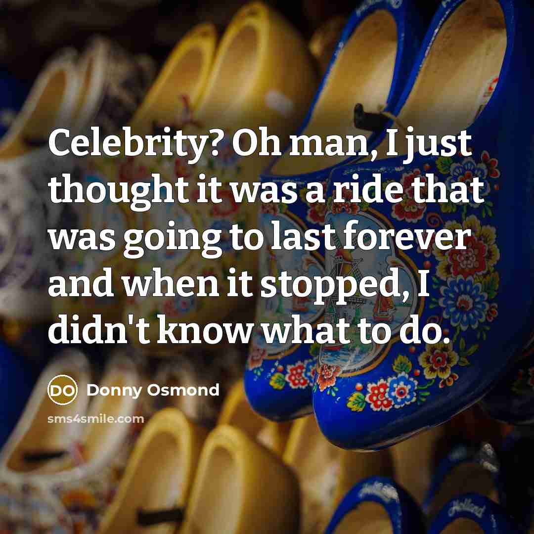 “Celebrity? Oh man, I just thought it was a ride…” quote by Donny Osmond