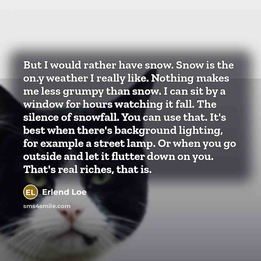 “But I would rather have snow. Snow is the on.y…” quote by Erlend Loe