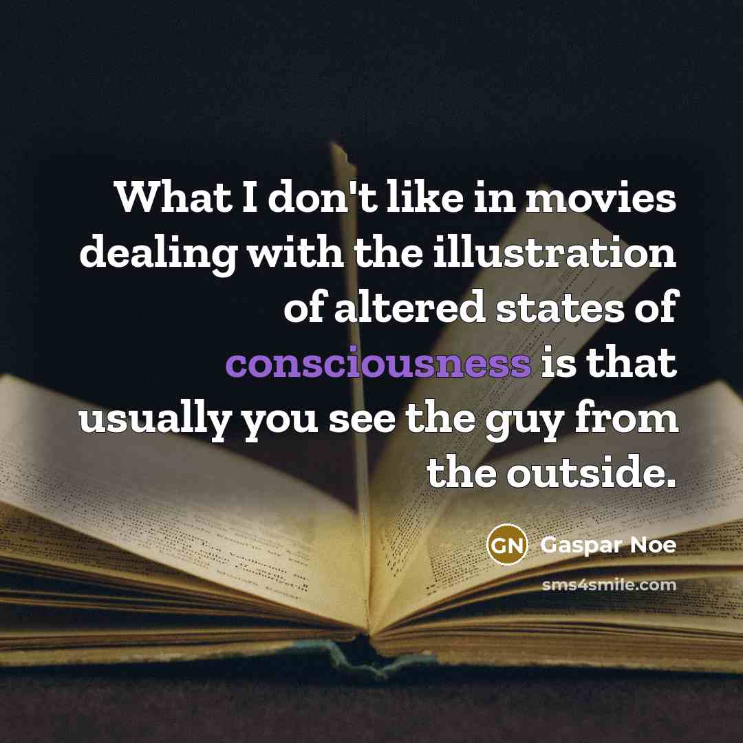 “What I don't like in movies dealing with the illustration…” quote by Gaspar Noe
