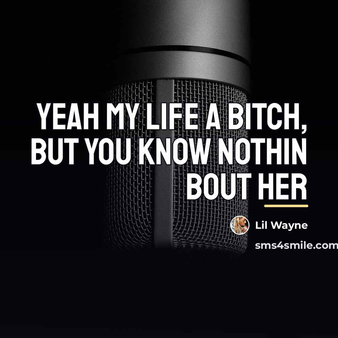 “Yeah my life a bitch, but you know nothin bout…” quote by Lil Wayne