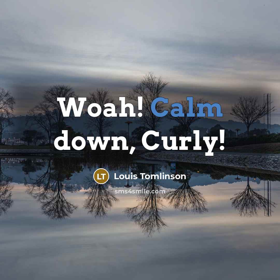 “Woah! Calm down, Curly!…” quote by Louis Tomlinson