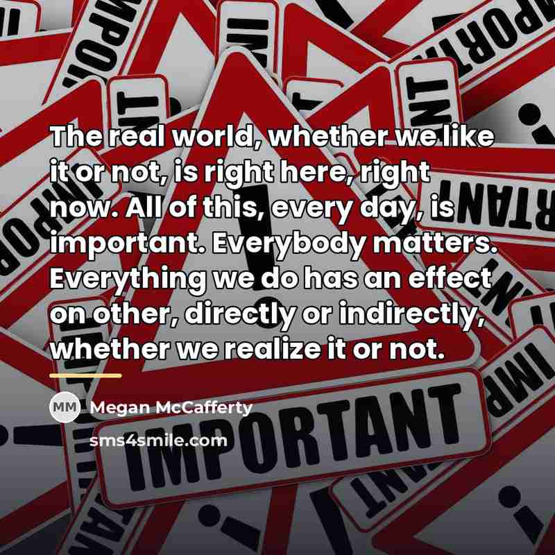 “The real world, whether we like it or not, is…” quote by Megan McCafferty