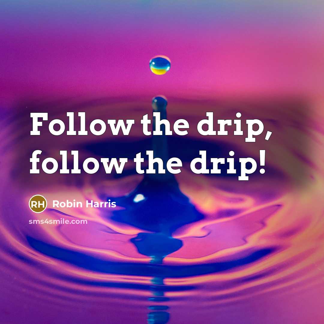 “Follow the drip, follow the drip!…” quote by Robin Harris