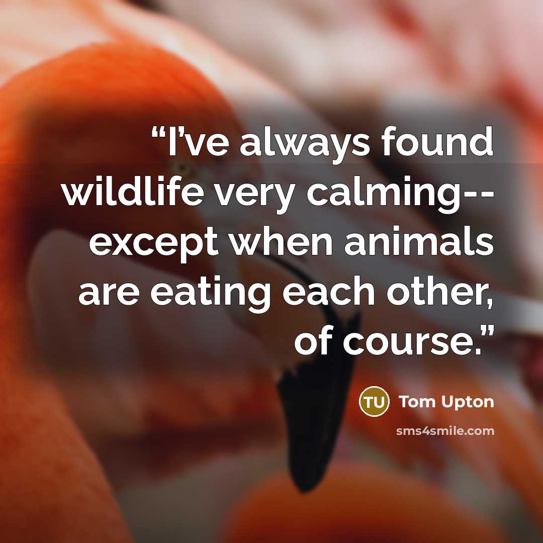 “I’ve always found wildlife very calming-- except when animals are eating each other, of course.” quote by Tom Upton