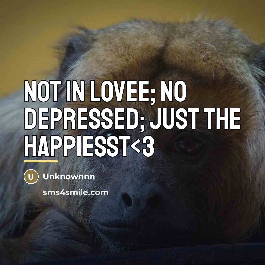 “Not In Lovee; No Depressed; Just The Happiesst…” quote by Unknownnn