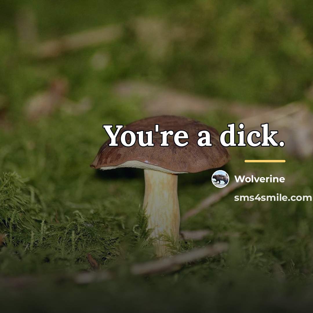 “You're a dick.…” quote by Wolverine