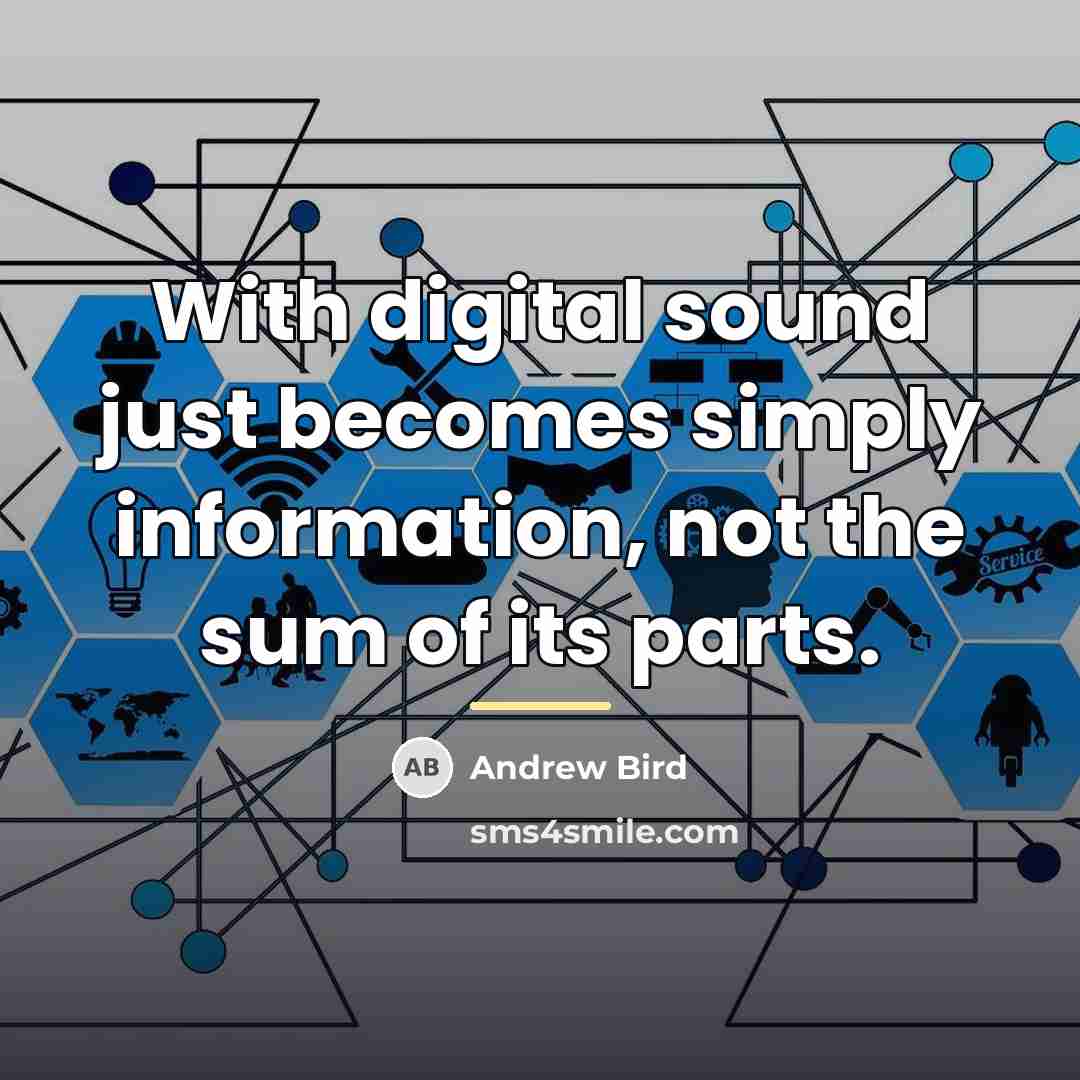 “With digital sound just becomes simply information, not the sum…” quote by Andrew Bird