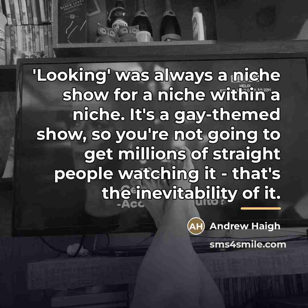 “'Looking' was always a niche show for a niche within…” quote by Andrew Haigh