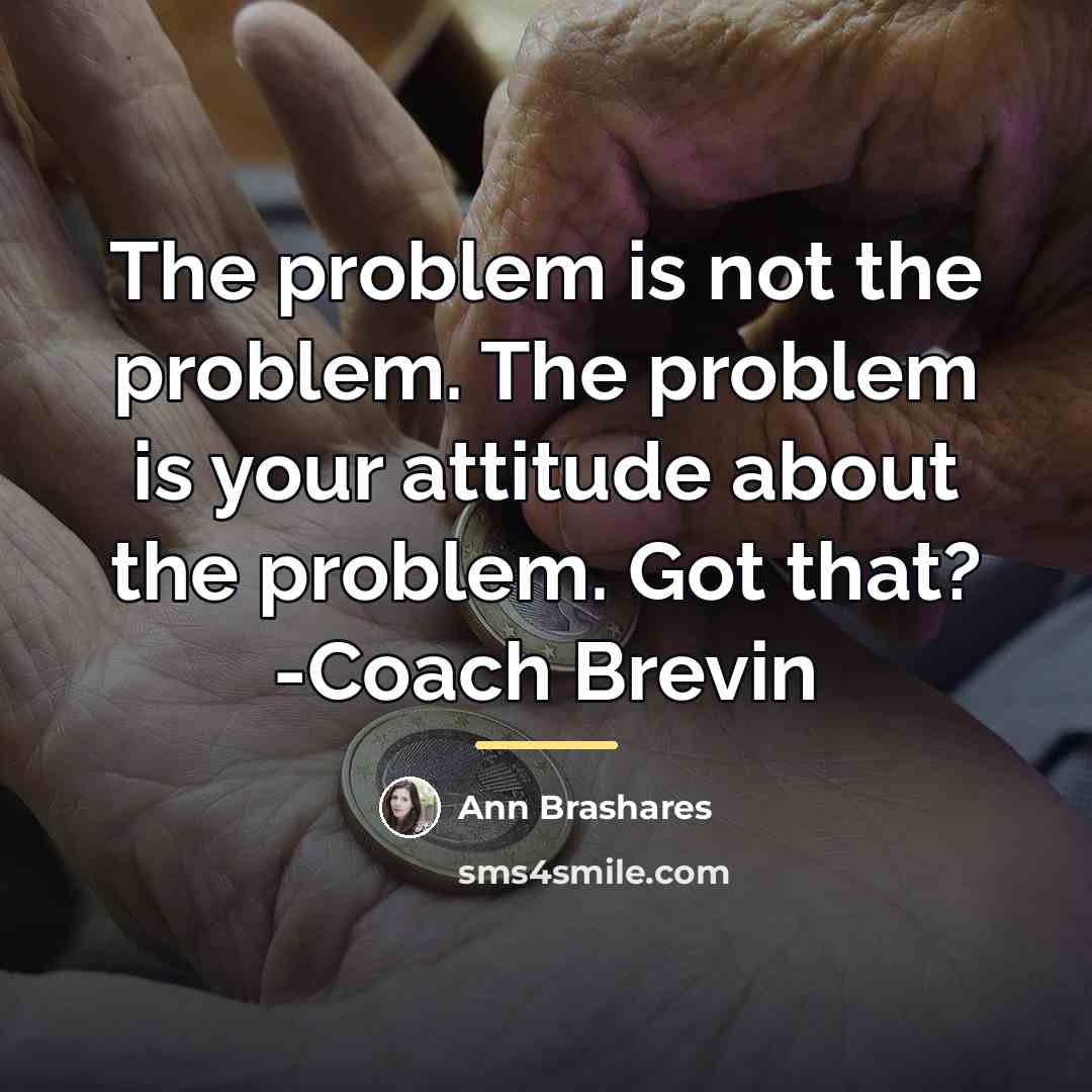 “The problem is not the problem. The problem is your…” quote by Ann Brashares