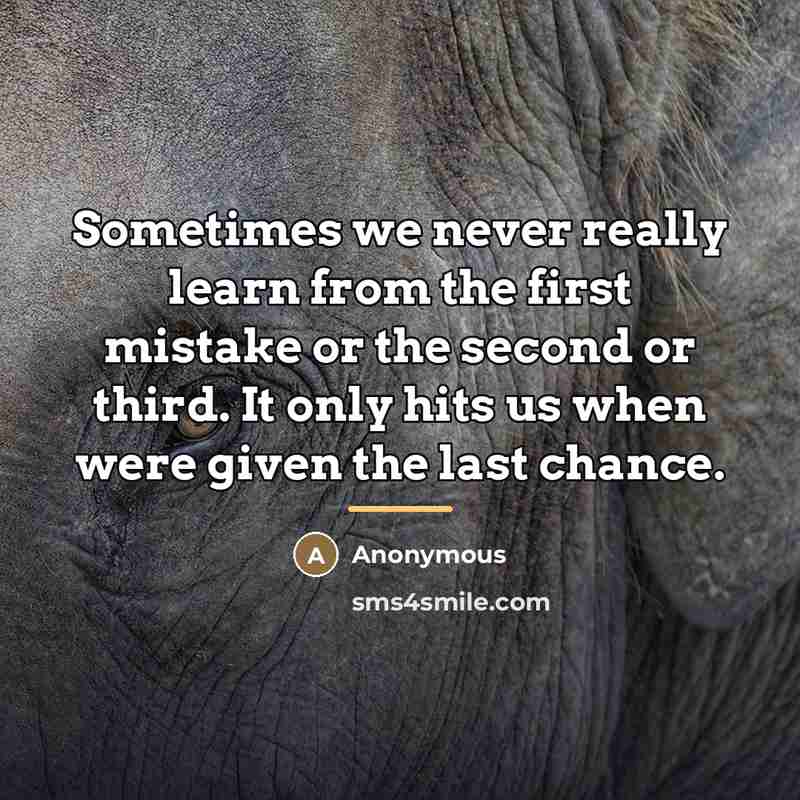 “Sometimes we never really learn from the first mistake or…” quote by Anonymous