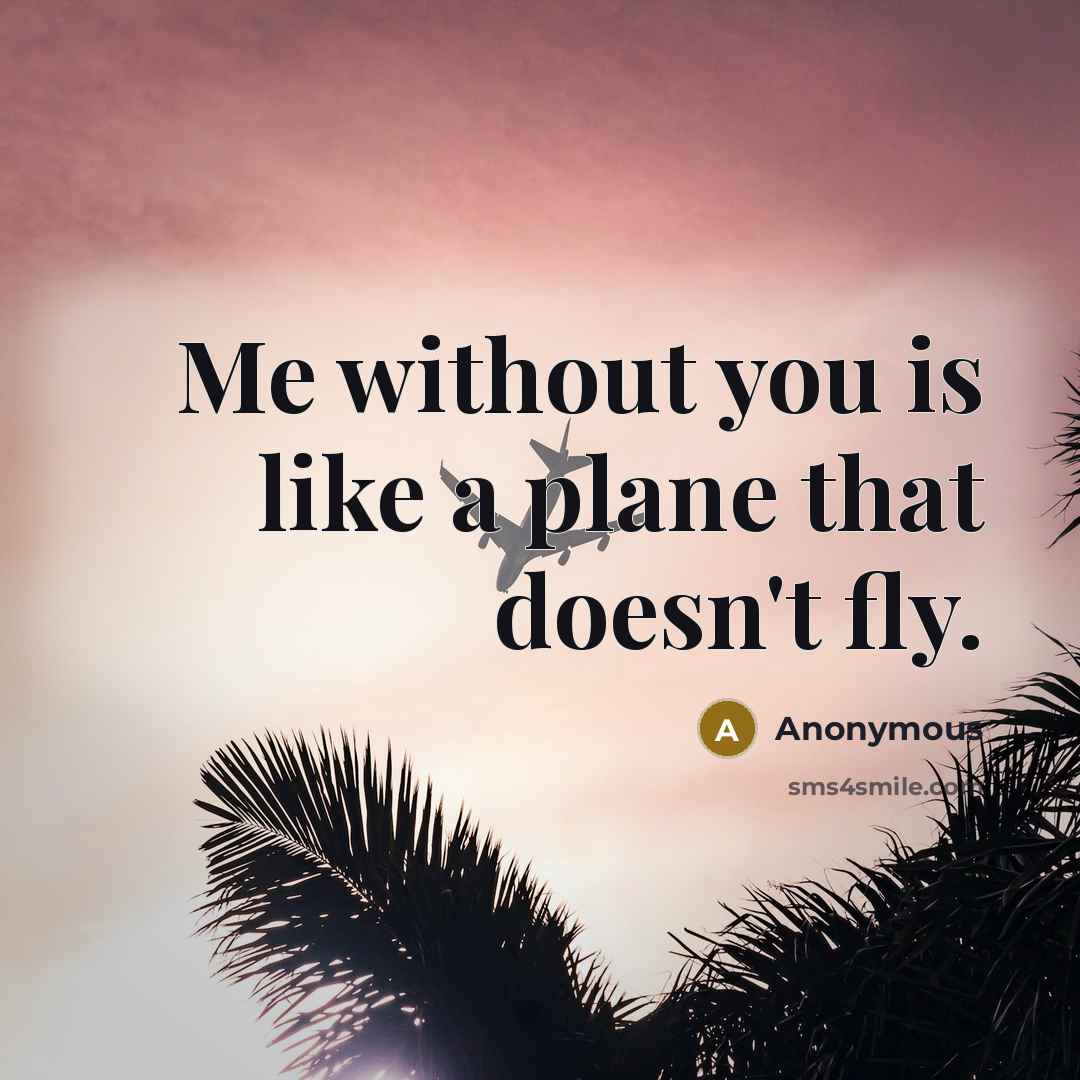 “Me without you is like a plane that doesn't fly.” quote by Anonymous